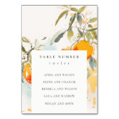 Boho Abstracte Oranje Tuin Trouwstoelen Kaart (Achterkant)