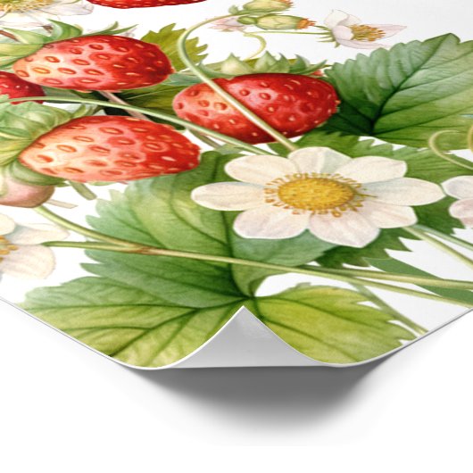 Boho Arch Berry Sweet Wild Aardbei Roze Welkom Poster (Hoek)