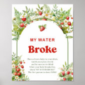 Boho Arch Wilde Aardbei Mijn Water Gebroken spel Poster (Voorkant)