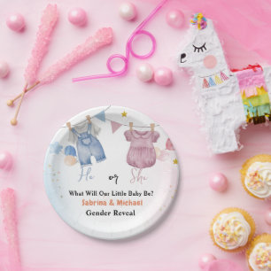 Boho  Baby Clotheline Gender Reveal Party Papieren Bordje