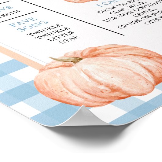 Boho Blue Gingham 1st Year Fact Sign Verjaardag Poster (Hoek)