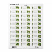 Boho Blush Green Tropical Palm Beach Adres Etiket (Full Sheet)