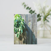 Boho botanical herb bladeren rustic Barn-wood Briefkaart (Staand voorkant)