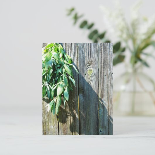 Boho botanical herb bladeren rustic Barn-wood Briefkaart (Staand voorkant)