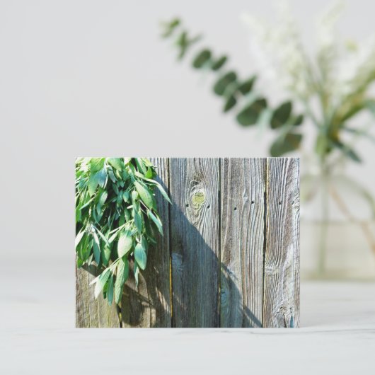 Boho botanical herb bladeren rustic Barn-wood Briefkaart (Staand voorkant)