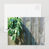Boho botanical herb bladeren rustic Barn-wood Briefkaart (Voorkant / Achterkant)