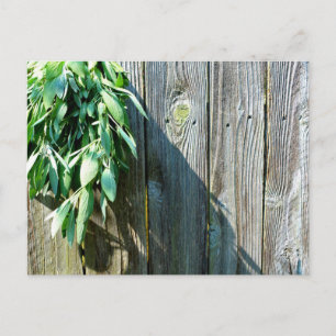 Boho botanical herb bladeren rustic Barn-wood Briefkaart