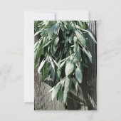 Boho botanische kruid verlaat rustiek Schuur-hout  Kaart (Achterkant)