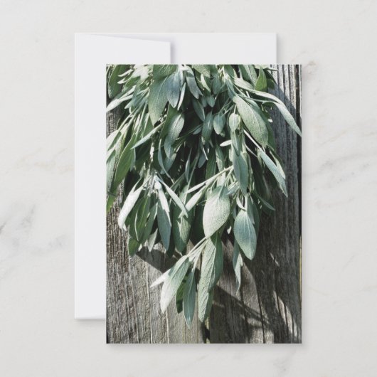 Boho botanische kruid verlaat rustiek Schuur-hout  Kaart (Achterkant)