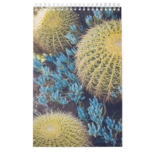 Boho Cactus Garden Kalender (Hoes)