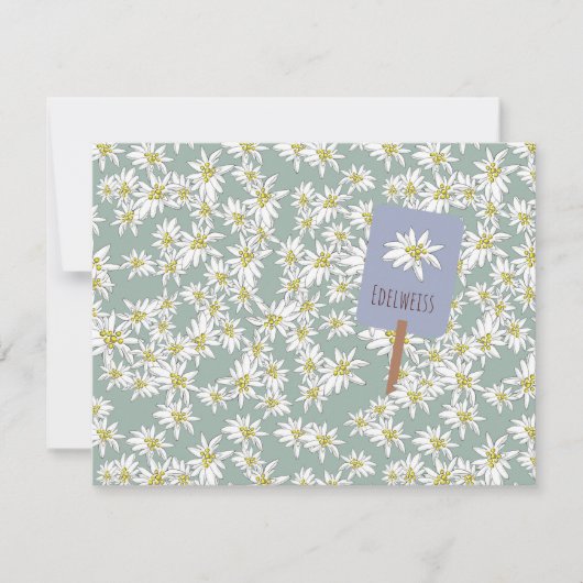 Boho Chic Edelweiss Alpine Wildflower Sage Green Bedankkaart (Voorkant)
