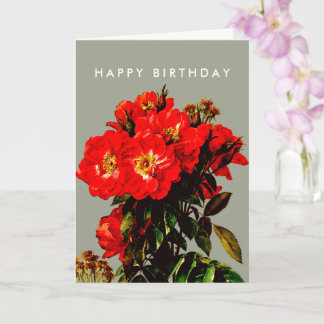 Boho Chic Gelukkige Verjaardag Rode Rozen Sage Gro Kaart