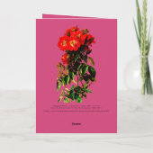 Boho Chic Moederdag Red Roses Bouquet Magenta Kaart (Achterkant)