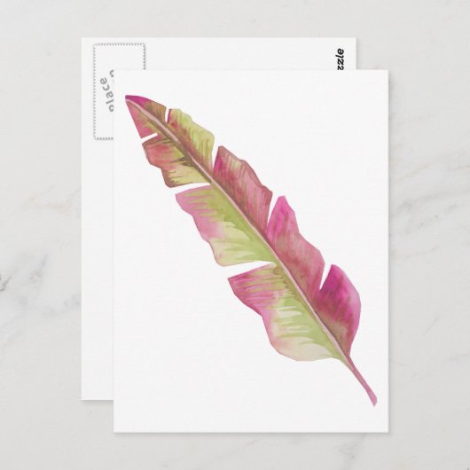 Boho Chic Roze en Groene Veer Briefkaart (Voorkant / Achterkant)