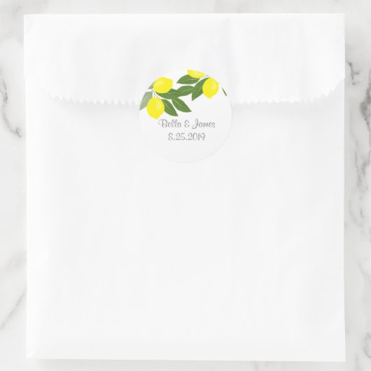 Boho Citrus Lemon Stickers (Tas)
