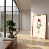 Boho Delosperma botanische canvas kunst Poster