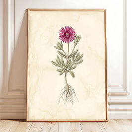 Boho Delosperma botanische canvas kunst Poster