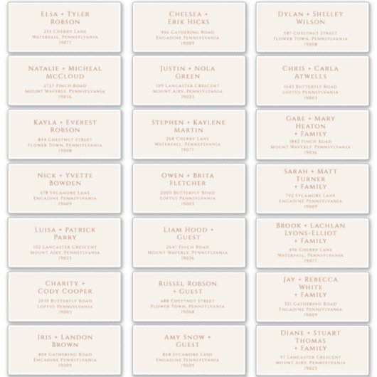 Boho Desert | Adresetiketten voor beige weddenscha Sticker (Voorkant)