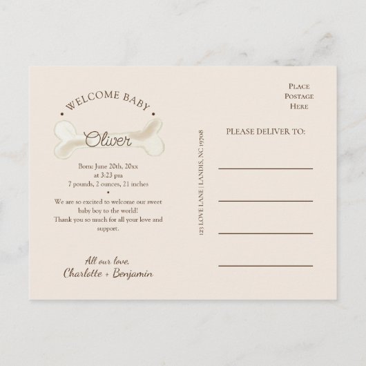 Boho Dinosaurus Foto Geboorte Aankondiging Briefka (Achterkant)