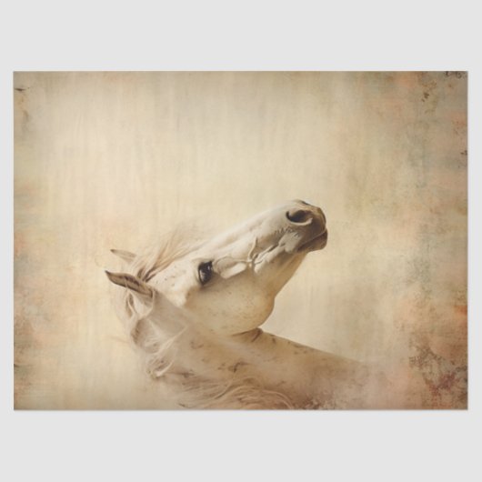 Boho Elegant Witte Paard Decoupage Tissuepapier (Voorkant)