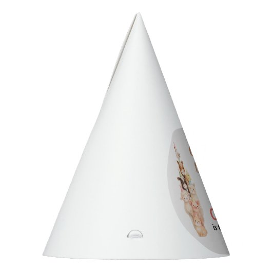 Boho Farm Animal 1st Birthday |Cute Rustic Barnyad Feesthoedjes (Links)