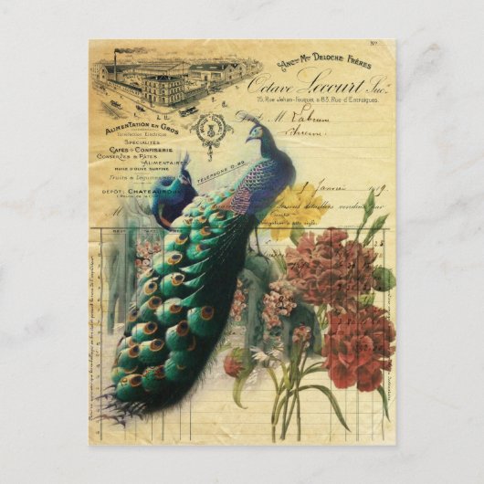 boho floral frans moderne pauw briefkaart (Voorkant)