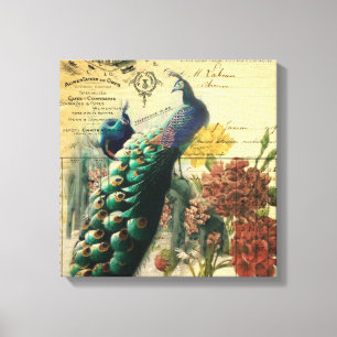 boho floral frans moderne pauw canvas afdruk