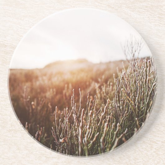 Boho grasveld zandsteen Onderzetters (Voorkant)