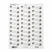 Boho Green Sage Wild One Verjaardagsadreslabel Etiket (Full Sheet)