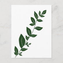 Boho Groene plant