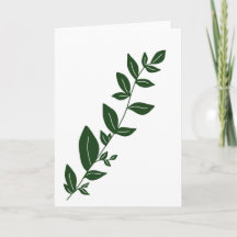 Boho Groene plant