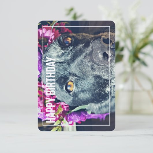 Boho Heeler Birthday Card Kaart (Staand voorkant)