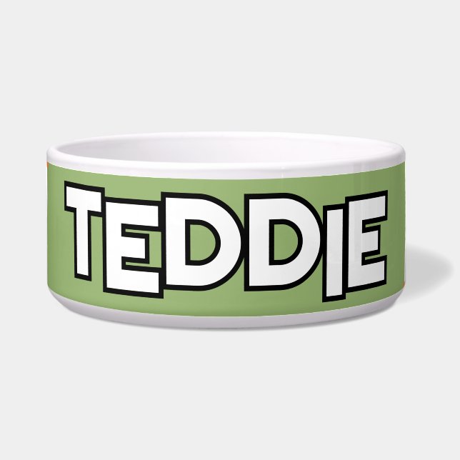 Boho Kleuren Turquoise Salie Groen Voerbakje (Voorkant)