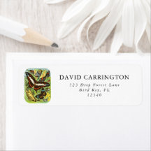 Boho Kleurrijke Vlinders Collectie