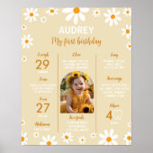 Boho Light Daisy 1e Verjaardagsfeest Mijlpaal teke Poster (Voorkant)