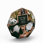 Boho neutrale panda zwangerschapsaankondiging aand fotoblokken (Links)