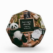 Boho neutrale panda zwangerschapsaankondiging aand fotoblokken (Voorkant)