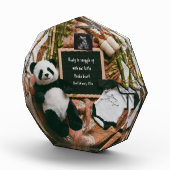 Boho neutrale zwangerschapsaankondiging Schattige  Fotoblokken (Rechts)