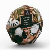 Boho neutrale zwangerschapsaankondiging Schattige  Fotoblokken (Links)