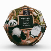 Boho neutrale zwangerschapsaankondiging Schattige  Fotoblokken (Voorkant)