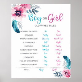 Boho Old Wives Tale Gender Reopenbaart het bord Poster
