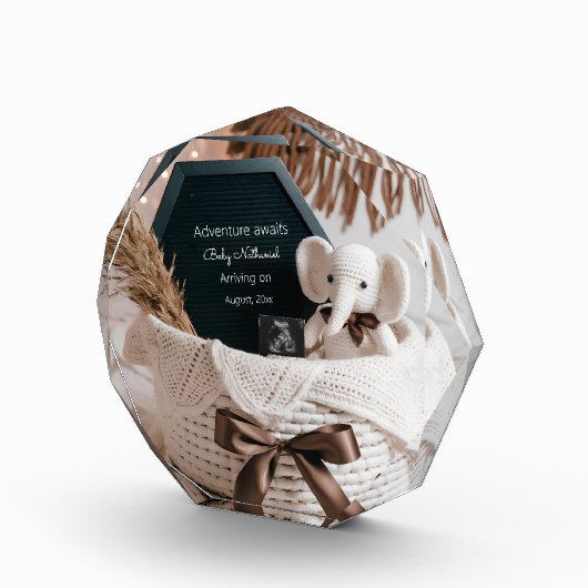 Boho pampas neutrale zwangerschapsaankondiging fotoblokken (Rechts)