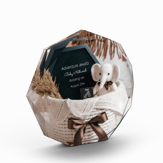 Boho pampas neutrale zwangerschapsaankondiging fotoblokken (Links)