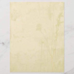 Boho Paper Letterhead Briefhoofd