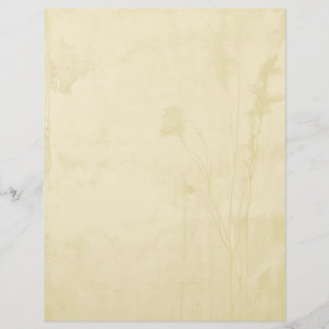 Boho Paper Letterhead Briefhoofd (Voorkant)