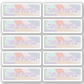 Boho Pastel Regenboog Sticker Sheet (Voorkant)