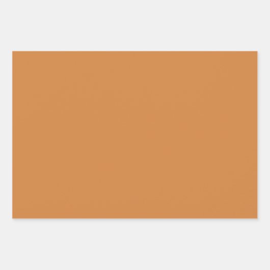 Boho Pastel Terracotta Roze Zeeschelp Wrapping Inpakpapier Vel (Voorkant 3)