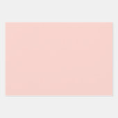 Boho Pastel Terracotta Roze Zeeschelp Wrapping Inpakpapier Vel (Voorkant 2)