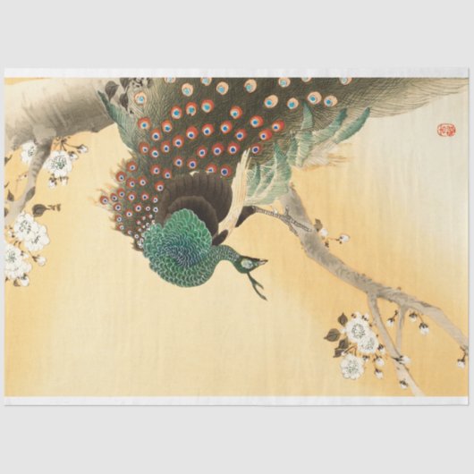  Boho Peacock Peacocks Ontkoppeling Tissuepapier (Voorkant)