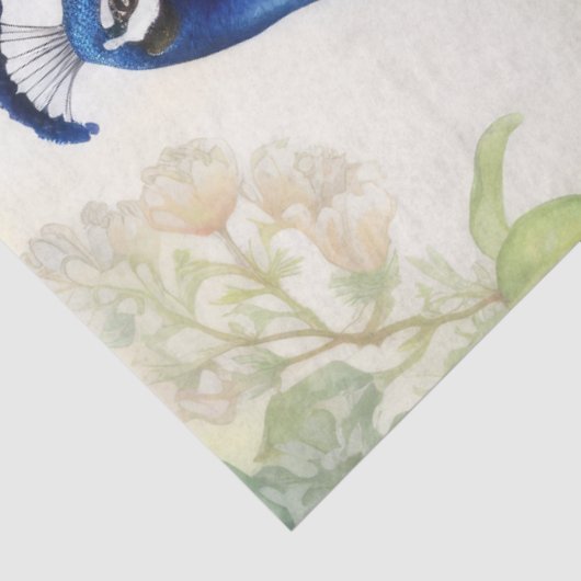  Boho Peacock Peacocks Ontkoppeling Tissuepapier (Detail)